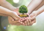 Retirement planning and family investment concept with wealthy tree growing on parent and children's hands